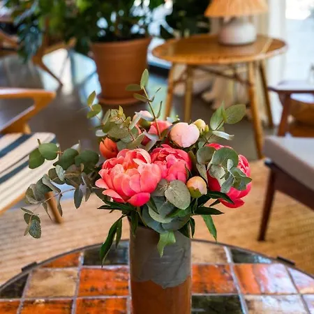 レス テラス デュ バイリ ホテル Le Rayol-Canadel-sur-Mer