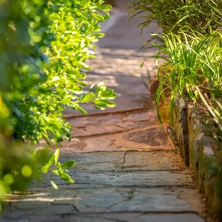 レス テラス デュ バイリ ホテル 3*