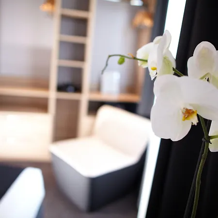 レス テラス デュ バイリ