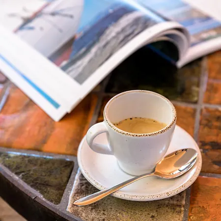 ホテル レス テラス デュ バイリ Le Rayol-Canadel-sur-Mer